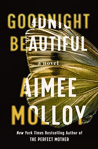 Book Review: Goodnight Beautiful – Aimee Molloy